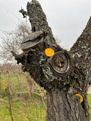 2021 NF_Tierweihnacht_Manu-2.jpg