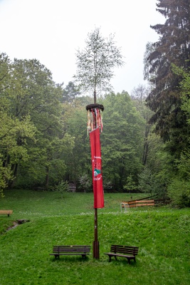 20220430 NF_Maibaum stellen_Karl-61.jpg