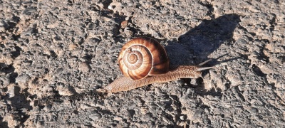 20220609 NF_Ardéche_Anke-3.jpg