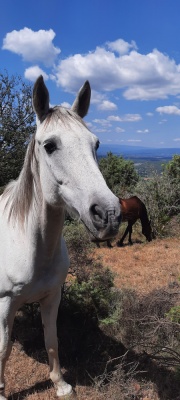 20220609 NF_Ardéche_Anke-49.jpg