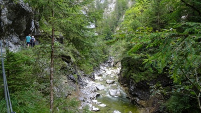 20220901 NF_Alpbachtal_Heinz-5.jpg