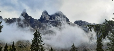 20220908 NF_Bergziegen im Montafon_Anke-12.jpg