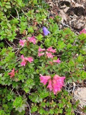 20230803 NF_Stubai_Anke-22.jpg