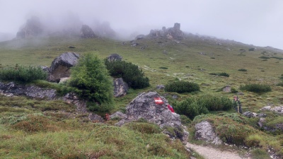 20230803 NF_Stubai_Anke-34.jpg