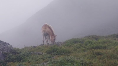 20230803 NF_Stubai_Anke-49.jpg