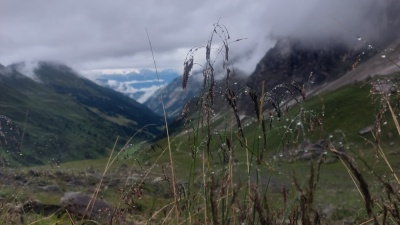 20230803 NF_Stubai_Anke-66.jpg