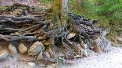 20230907 NF_Wildschönau_Christl-19.jpg