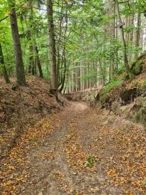 20231015 NF_Herbstwanderung_Sabine-41.jpg