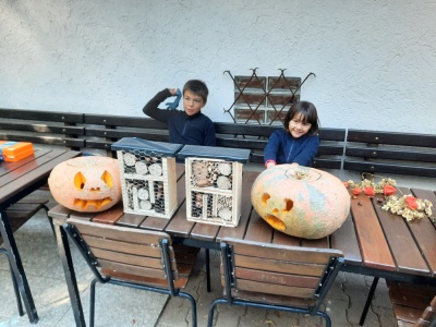 20231021 NF_Kürbisschnitzen_Anke-38.jpg