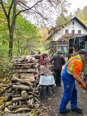 20231111 NF_Arbeitseinsatz_Sabine-77.jpg