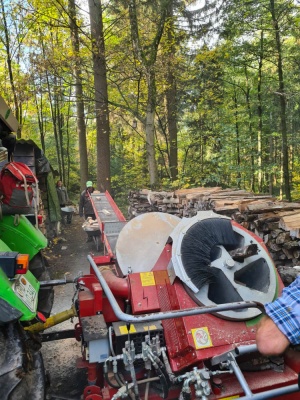 20231111 NF_Arbeitseinsatz_Sabine-145.jpg