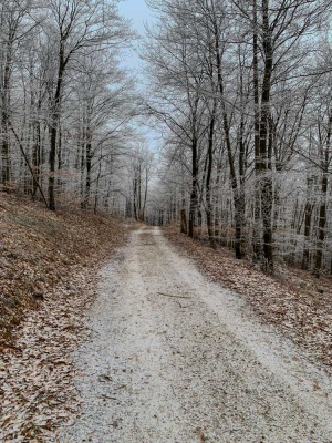 20240113 NF_Donnersberg-Wanderung-2.jpg