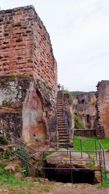 20240428 Rittersteinwanderung_Christel.jpg