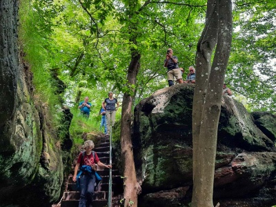 20240526 NF_Drachenfelswanderung_Anke-6.jpg