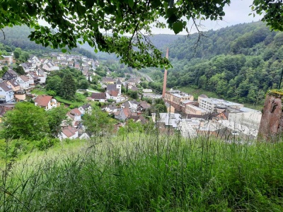 20240526 NF_Drachenfelswanderung_Anke-18.jpg
