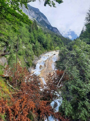 20240801 Karwendel_Anke-48.jpg