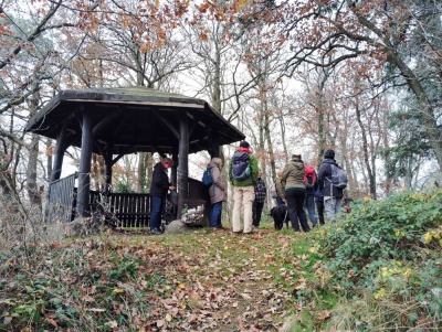 20241208 NF_Adventswanderung ins Blaue_Sabine-3.jpg