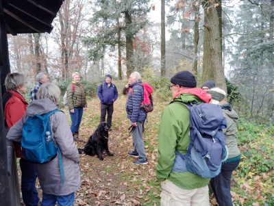 20241208 NF_Adventswanderung ins Blaue_Sabine-5.jpg