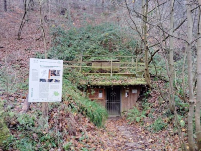 20241208 NF_Adventswanderung ins Blaue_Sabine-22.jpg