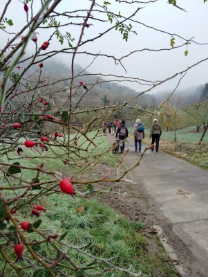 20241208 NF_Adventswanderung ins Blaue_Sabine-26.jpg