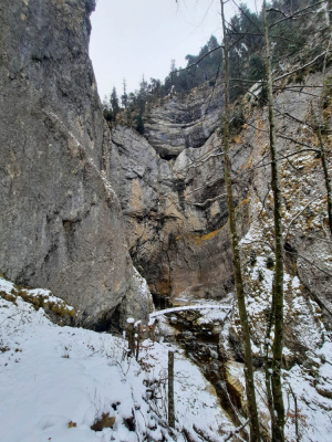 20250302_121727.jpg
