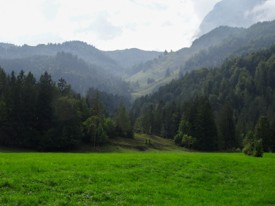 20250830 NF_Wilder Kaiser_Heinz-3.jpg