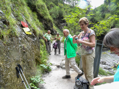 20250830 NF_Wilder Kaiser_Heinz-24.jpg