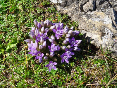 20250830 NF_Wilder Kaiser_Heinz-78.jpg