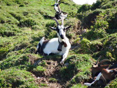 20250830 NF_Wilder Kaiser_Heinz-94.jpg