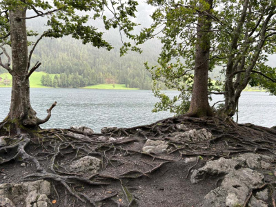 20250830 NF_Wilder Kaiser_Ingrid - 17.jpg