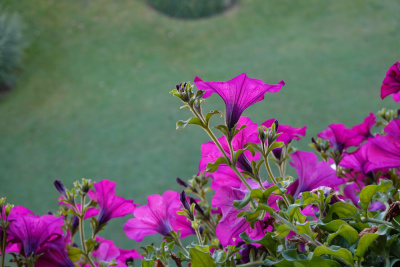 20250830 NF_Wilder Kaiser_Karl-34.jpg