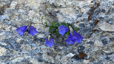 20250830 NF_Wilder Kaiser_Kirsten-34.jpg