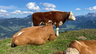 20250830 NF_Wilder Kaiser_Kirsten-52.jpg