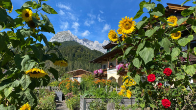 20250830 NF_Wilder Kaiser_Kirsten.jpg