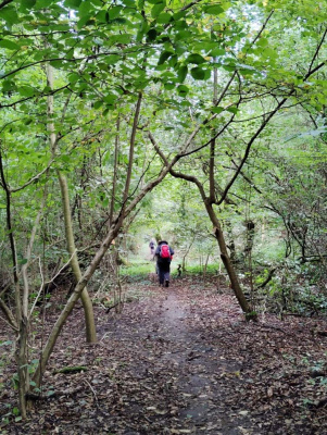 20250928 NF-Pfungstädter Moor_Sabine - 2.jpg