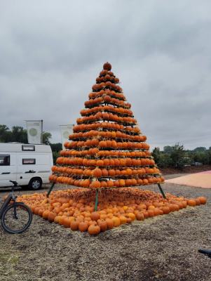 20250928 NF-Pfungstädter Moor_Sabine - 3.jpg