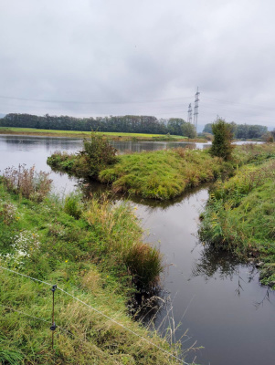 20250928 NF-Pfungstädter Moor_Sabine - 10.jpg