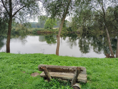 20250928 NF-Pfungstädter Moor_Sabine - 11.jpg