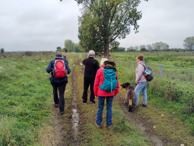 20250928 NF-Pfungstädter Moor_Sabine - 12.jpg