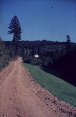 1981 001 Hütte.jpg