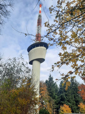 20251101 NF_Letzte Einkehr-Anke-7.jpg