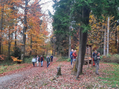 20251101 NF_Letzte Einkehr-Anke-12.jpg