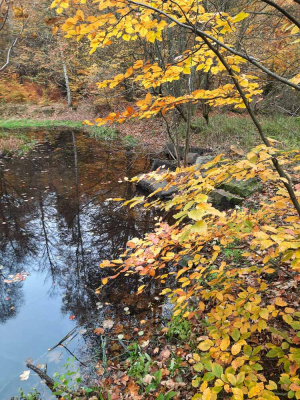 20251101 NF_Letzte Einkehr-Anke-14.jpg