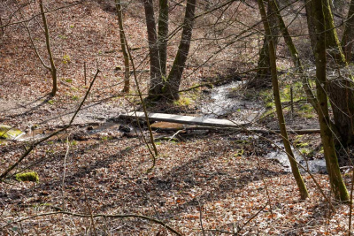 20260228 NF_Wagenbau_Karl-24.jpg