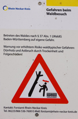 20260228 NF_Wagenbau_Karl-36.jpg