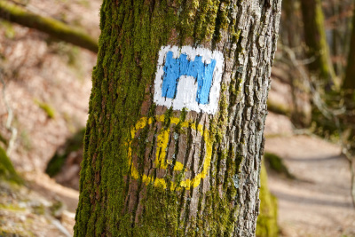 20260228 NF_Wagenbau_Karl-41.jpg