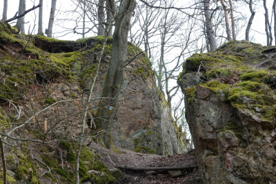 20260228 NF_Wagenbau_Karl-100.jpg