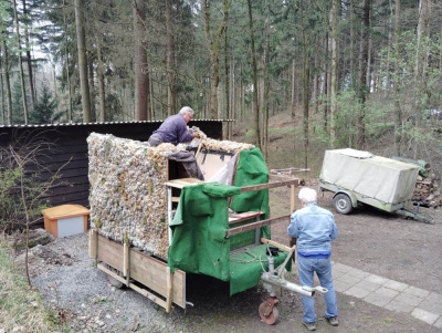 20260321 NF_Arbeitseinsatz_Sabine - 2.jpg
