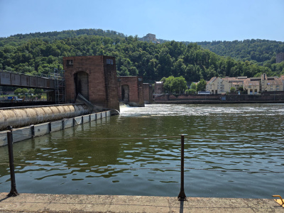 20260628_125449.jpg