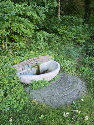 20260906_091021.jpg